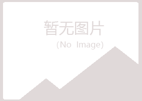 青岛黄岛沉淀能源有限公司